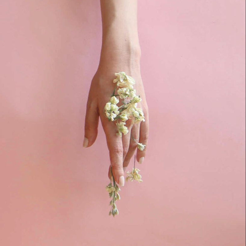 Best-Smelling Hand Cream: How to Choose a Fragrance You Love